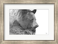 Framed Mountain Bear