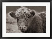 Framed Highland Cow Do Neutral