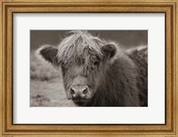 Framed Highland Cow Do Neutral