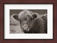 Framed Highland Cow Do Neutral