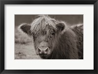 Framed Highland Cow Do Neutral