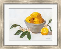 Framed Lemons in Grey Bowl