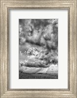 Framed Rolling Pasture Rays