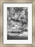 Framed Rolling Pasture Rays