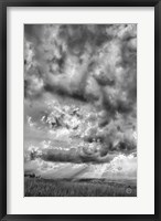 Framed Rolling Pasture Rays