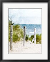 Framed Pathway To The Beach