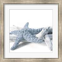 Framed Starfish Beach 4 V3
