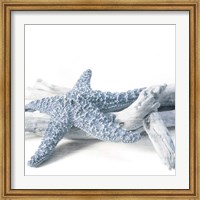 Framed Starfish Beach 4 V3