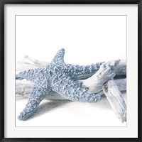 Framed Starfish Beach 4 V3