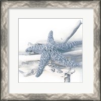 Framed Starfish Beach 5 V3