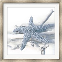 Framed Starfish Beach 5 V3
