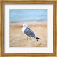 Framed Seagull