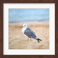 Framed Seagull