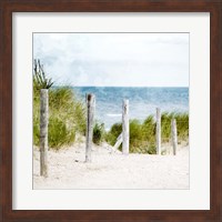 Framed Pathway To The Beach