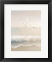 Framed Gulls