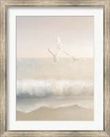 Framed Gulls
