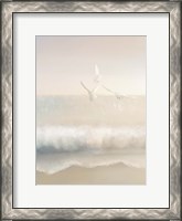 Framed Gulls