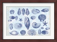 Framed Casual Coastal Shells