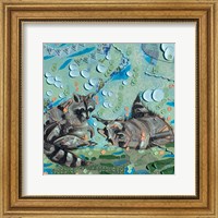 Framed Two Raccoons