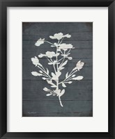 Rustic Hearth III Framed Print