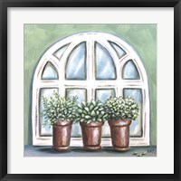 Framed Window Planter II