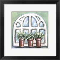 Framed Window Planter II