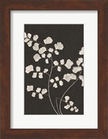 Framed Vintage Ferns III