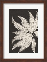 Framed Vintage Ferns V