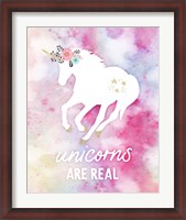 Framed Unicorns are Real
