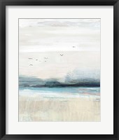 Coastal Birds II Framed Print