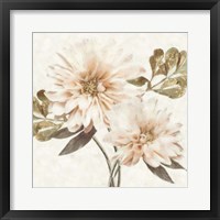 Delicate II Framed Print