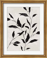 Framed Noir Botanical