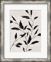 Framed Noir Botanical