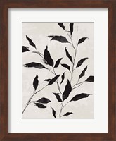 Framed Noir Botanical