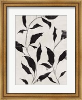 Framed Noir Botanical II