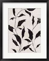 Framed Noir Botanical II