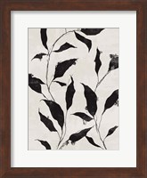 Framed Noir Botanical II