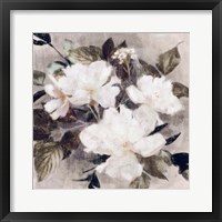 Framed Whisper Blooms II