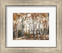 Framed Rusted Hearth Birch Trees