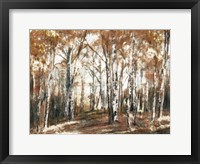 Framed Rusted Hearth Birch Trees