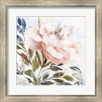 Framed Peony Melody II