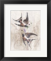 Framed Playful Swallows
