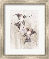 Framed Playful Swallows II