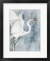 Glacier Heron Framed Print