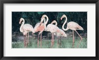 Framed Peach Flamingo III
