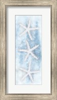 Framed Starfish Panel