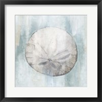 Framed Sand Dollar