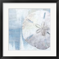 Framed Sand Dollar III