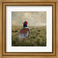 Framed Have a Very Pheasant Day