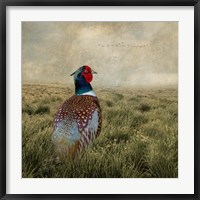 Framed Have a Very Pheasant Day